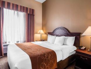 Room #48957006 at Comfort Suites Columbus State University Area