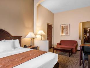 Room #48957006 at Comfort Suites Columbus State University Area