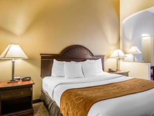 Room #48957006 at Comfort Suites Columbus State University Area
