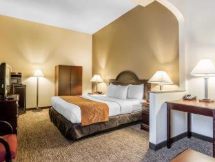 Room #48957006 at Comfort Suites Columbus State University Area