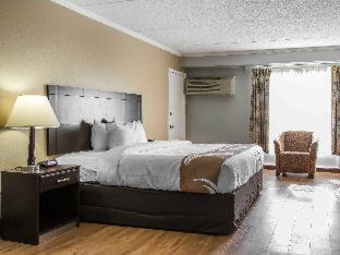 Room #48867518 at Quality Inn Downtown Historic District