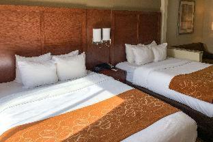 Room #48957007 at Comfort Suites Columbus State University Area