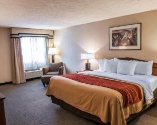 Room #49001007 at Comfort Inn Indianapolis South I-65