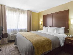 Room #49088208 at Comfort Inn & Suites Deming