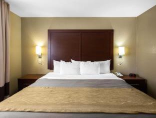 Room #49088208 at Comfort Inn & Suites Deming