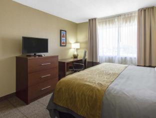 Room #49088208 at Comfort Inn & Suites Deming