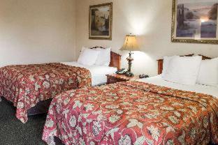 Room #49076009 at Econo Lodge Greenville near University