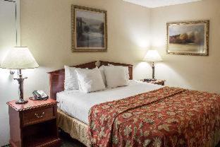 Room #49076010 at Econo Lodge Greenville near University