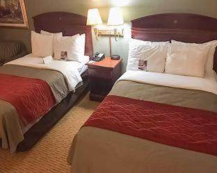 Room #49221707 at Comfort Inn - Springfield