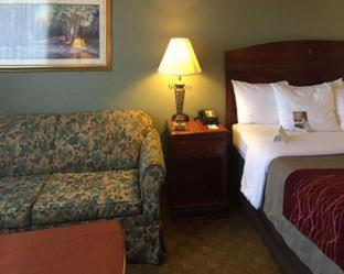 Room #49221708 at Comfort Inn - Springfield