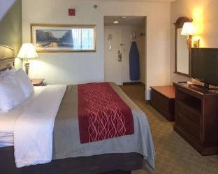 Room #49221709 at Comfort Inn - Springfield