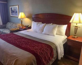 Room #49221709 at Comfort Inn - Springfield