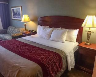 Room #49221709 at Comfort Inn - Springfield