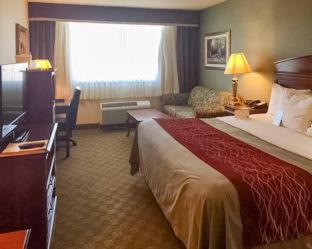 Room #49221709 at Comfort Inn - Springfield