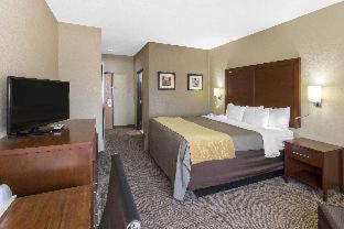 Room #49088209 at Comfort Inn & Suites Deming