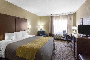 Room #49088209 at Comfort Inn & Suites Deming