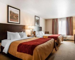 Room #49122209 at Comfort Inn & Suites Creswell