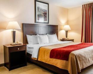 Room #49122210 at Comfort Inn & Suites Creswell