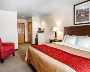 Room #49122210 at Comfort Inn & Suites Creswell