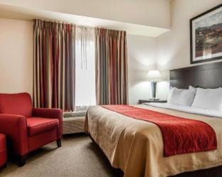 Room #49122211 at Comfort Inn & Suites Creswell