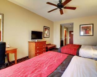 Room #49052415 at Comfort Inn & Suites Clinton - Jackson West