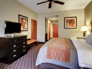 Room #49052417 at Comfort Inn & Suites Clinton - Jackson West