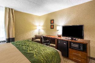Room #161669210 at Quality Inn