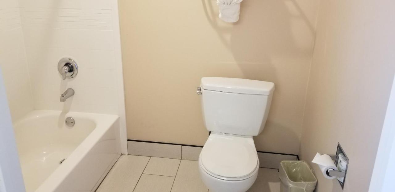 Standard Room, 1 King Bed, Sofa Bed, Non Smoking at Quality Inn & Suites Anaheim Maingate