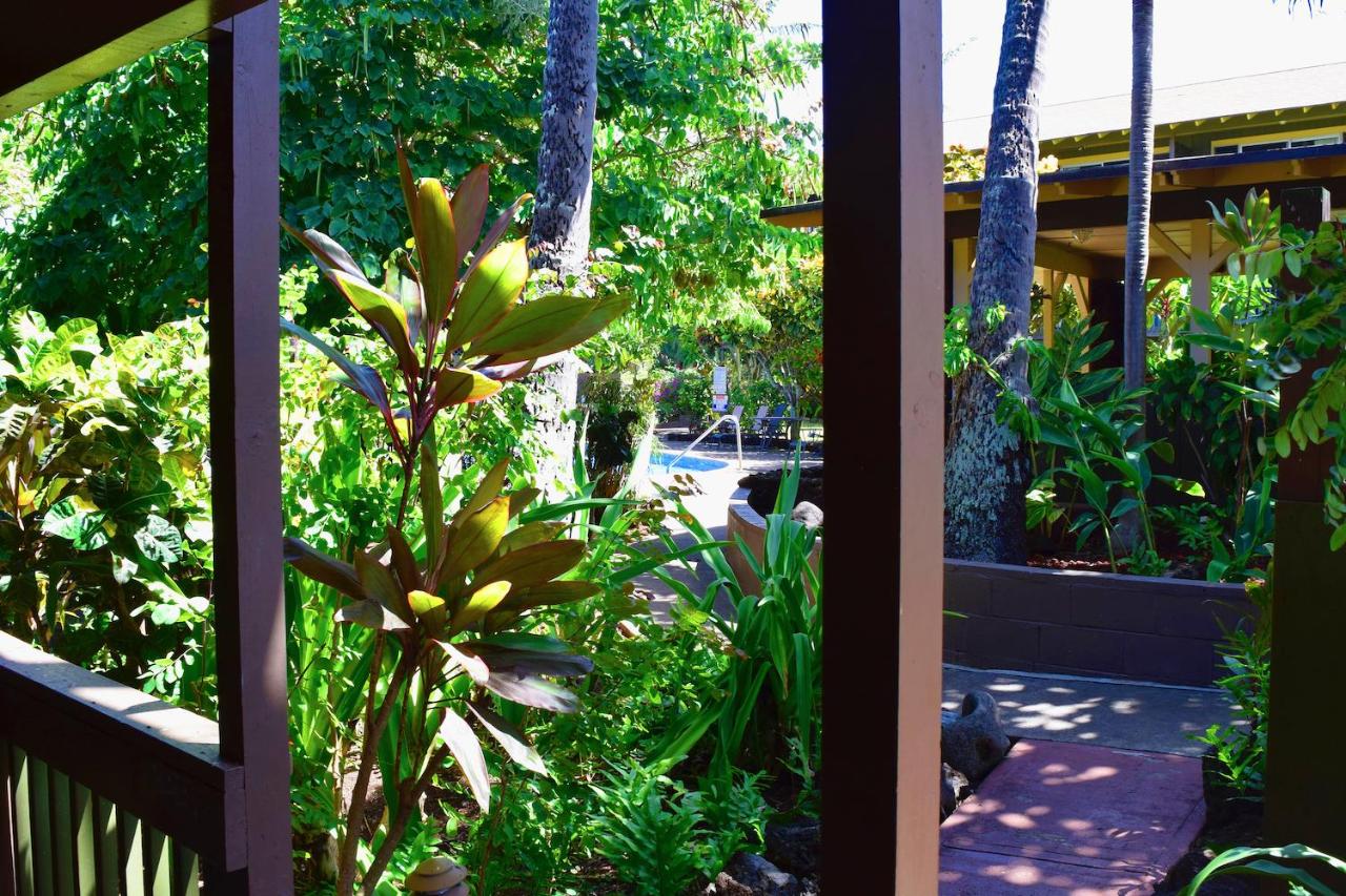 | Napili Village Hotel