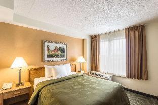 Room #49233310 at Spark by Hilton Milwaukee Airport