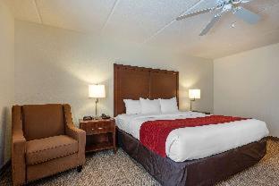 Room #48949612 at Comfort Inn Kissimmee-Lake Buena Vista South