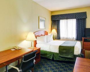 Room #49194812 at Quality Inn & Suites Waco North