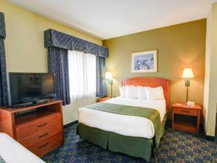 Room #49194812 at Quality Inn & Suites Waco North