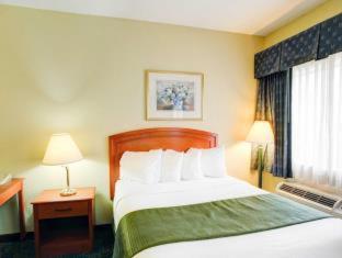 Room #49194812 at Quality Inn & Suites Waco North