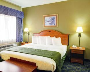 Room #49194815 at Quality Inn & Suites Waco North