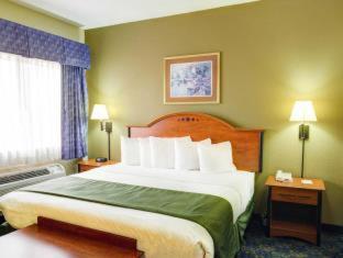 Room #49194813 at Quality Inn & Suites Waco North