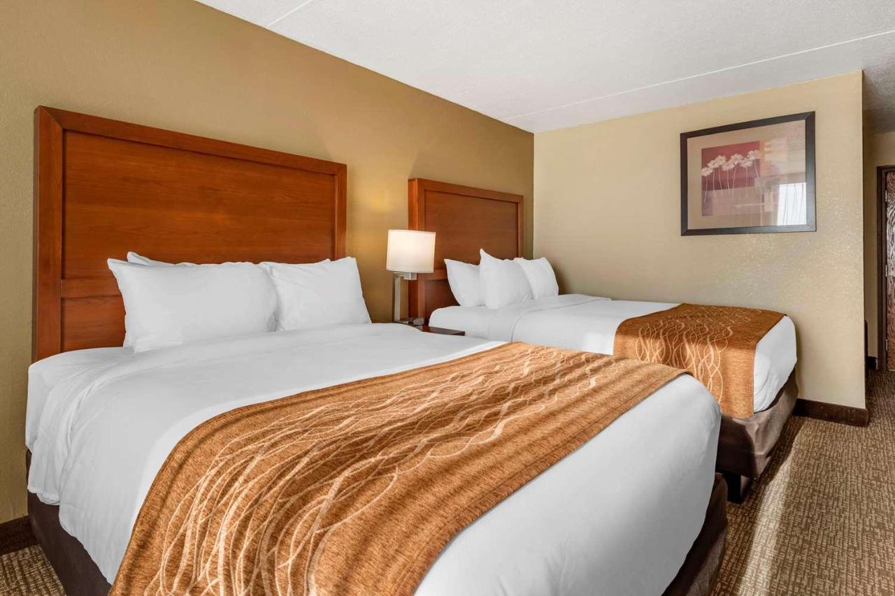 Queen Room with Two Queen Beds - Non-Smoking at Comfort Inn & Suites Triadelphia - Wheeling