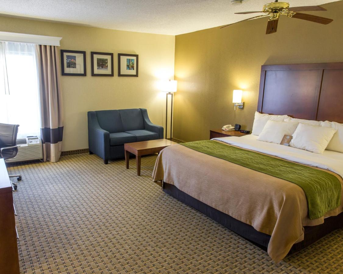 Junior Suite at Comfort Inn Hammond