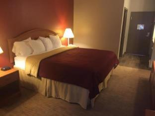 Room #117460028 at Best Western Carlisle