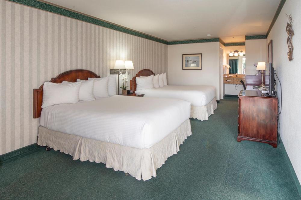 Queen Room with Two Queen Beds (No Pets) at Emerald Dolphin Inn & Mini Golf