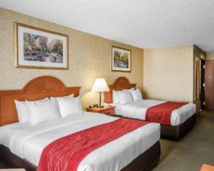 Room #48997110 at Comfort Inn & Suites