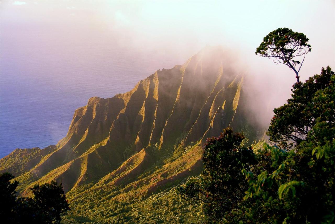 | The West Inn Kauai