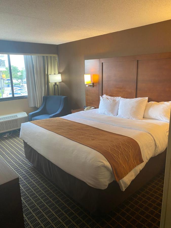 King Room - Non-Smoking at Comfort Inn - Springfield