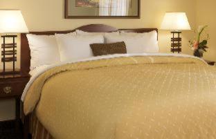 Room #33251218 at Larkspur Landing Extended Stay Suites Campbell