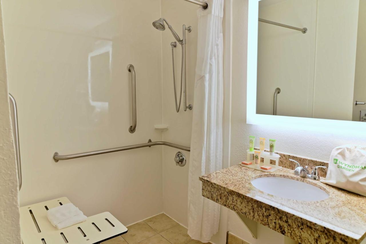 King ADA Roll-In Shower Non-Smoking at Wyndham Garden Summerville