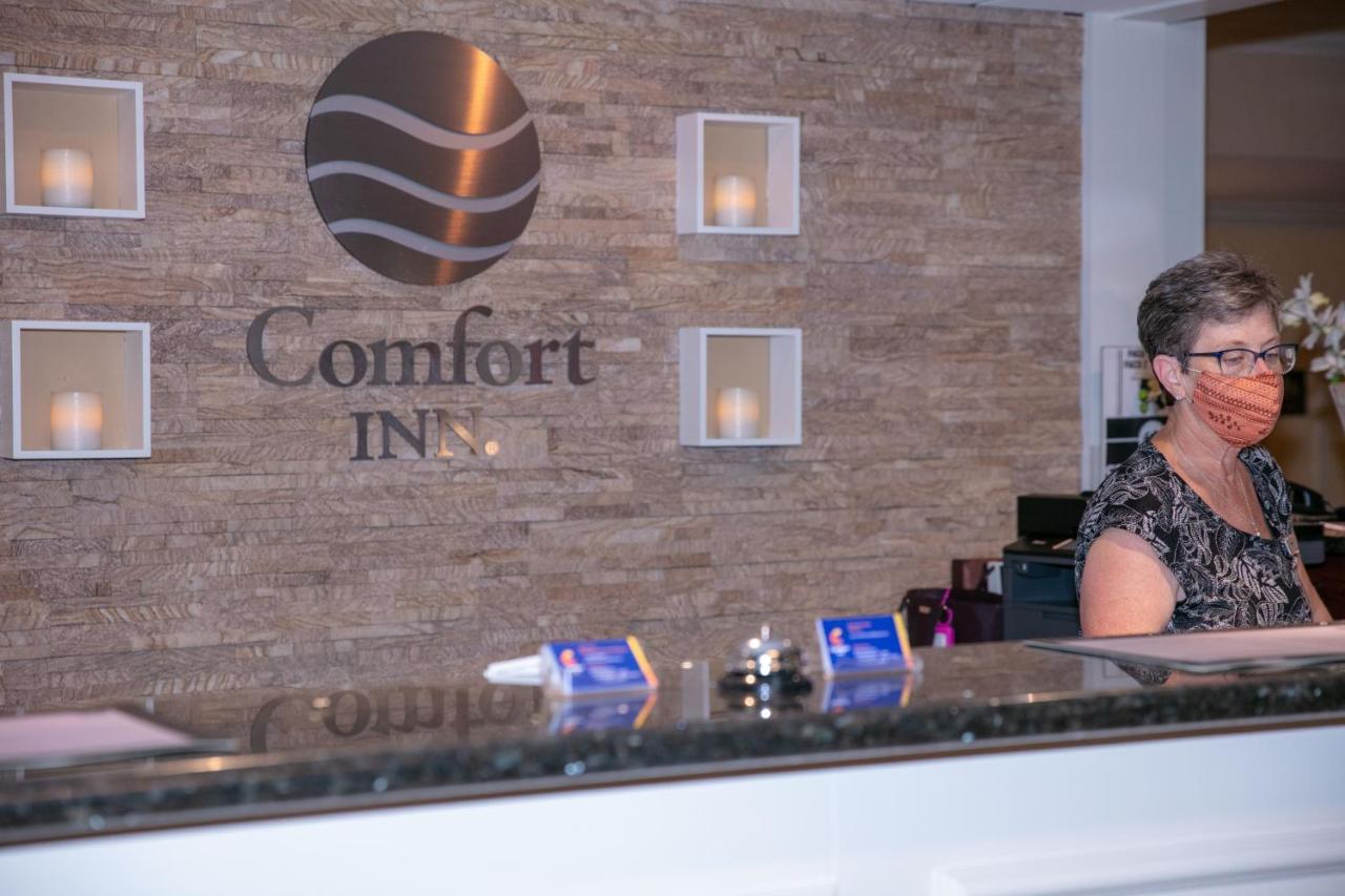 Double Room with Two Double Beds at Comfort Inn Oceanside Deerfield Beach