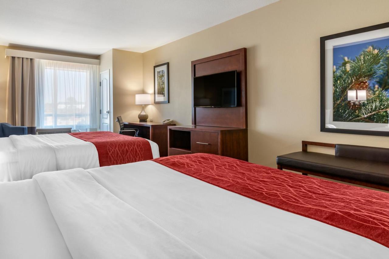 Queen Room with Two Queen Beds - Disability Access/Non-Smoking at Comfort Inn & Suites Tifton