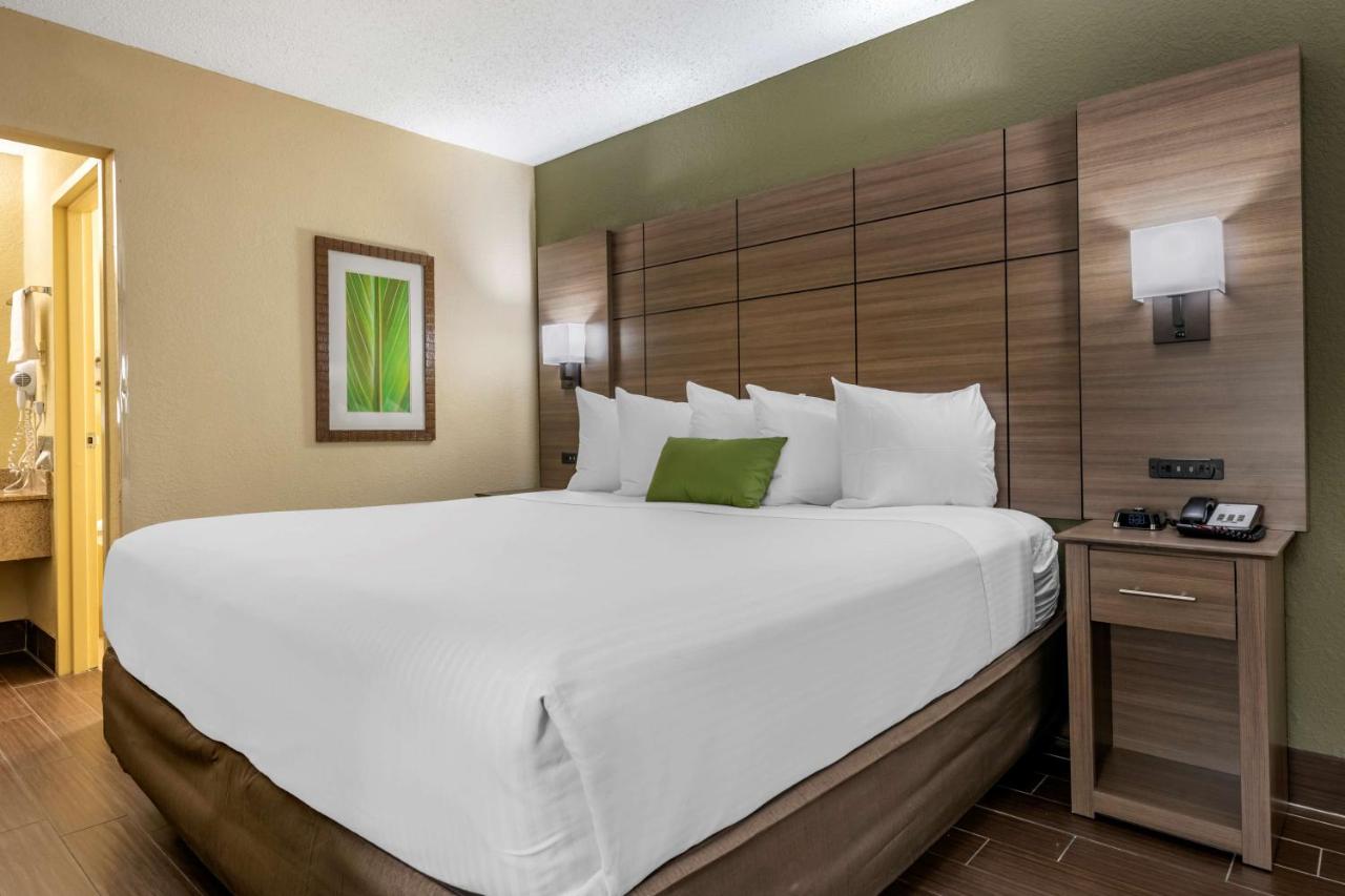 King Room - Pet-Friendly/Non-Smoking at Best Western Downtown Stuart