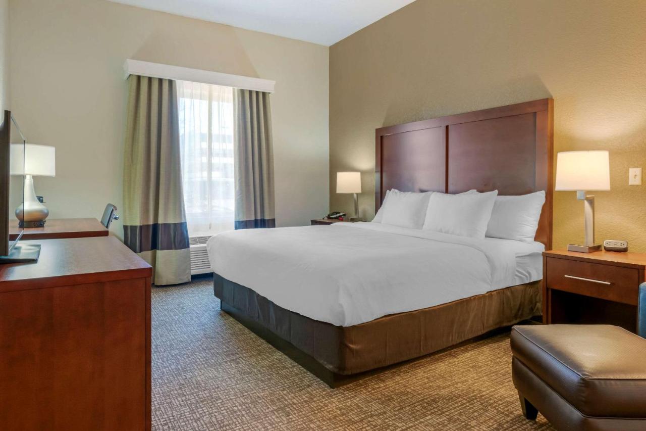 King Room First Floor - Accessible/Non-Smoking at Comfort Inn Mechanicsburg - Harrisburg South
