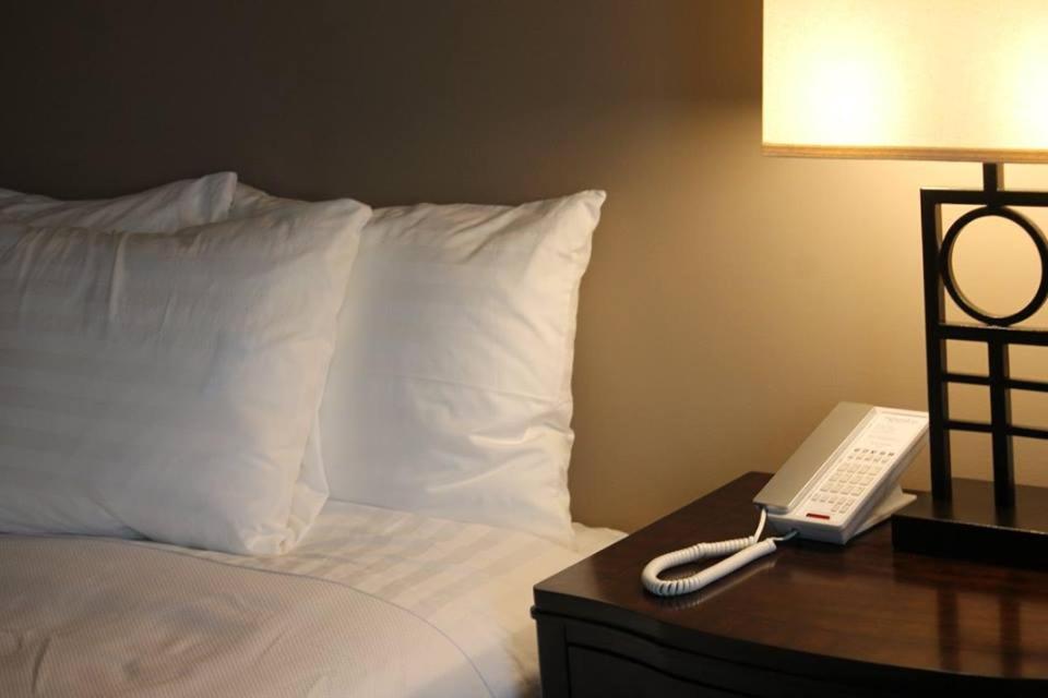 Superior Queen Room at Norwalk Inn & Conference Center